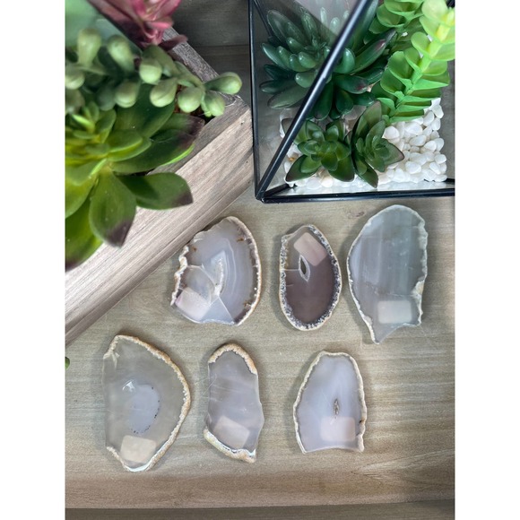 Agate Slices Polished Crystal E and F - Picture 2 of 5